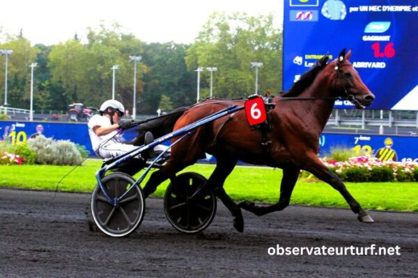100pour100 Quinteplus