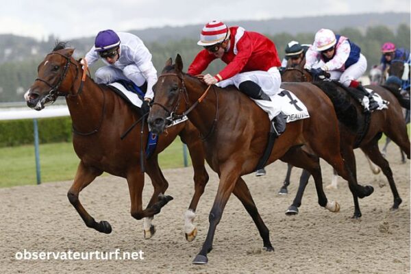 LA Richesse Turf Vip