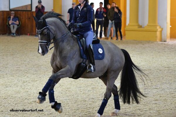 Lebosse Du Turf