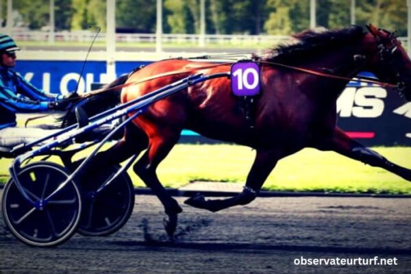 100100 Ordre Turf