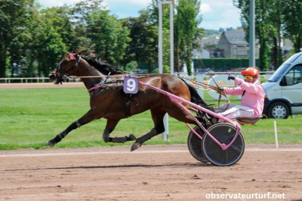Champion Des Courses