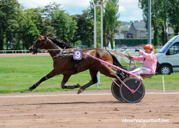 Champion Des Courses