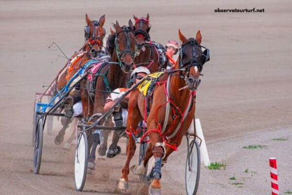 Course en Direct