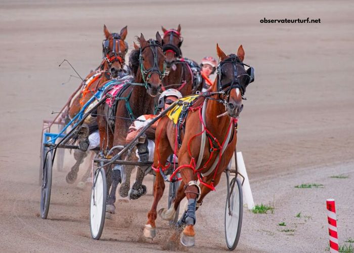 Course en Direct