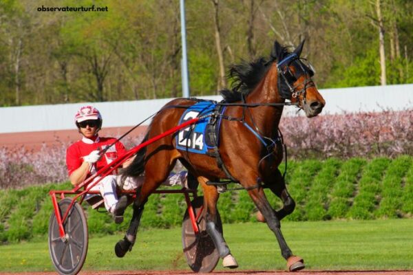 Le Duo Du Turf