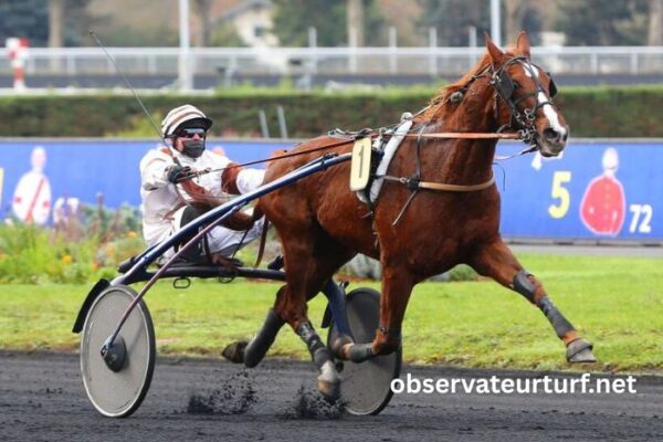 Paris Promise Turf (3)