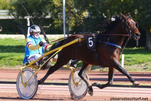 Pion Sur Pmu