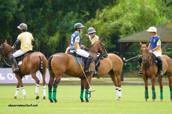 Power Turf Gagnant