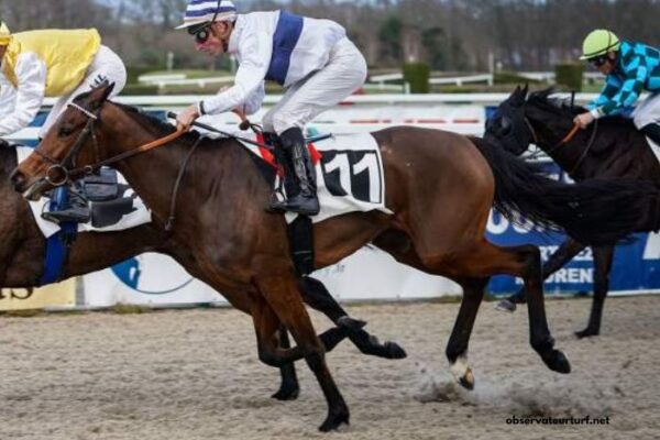 Prono Choc Turf