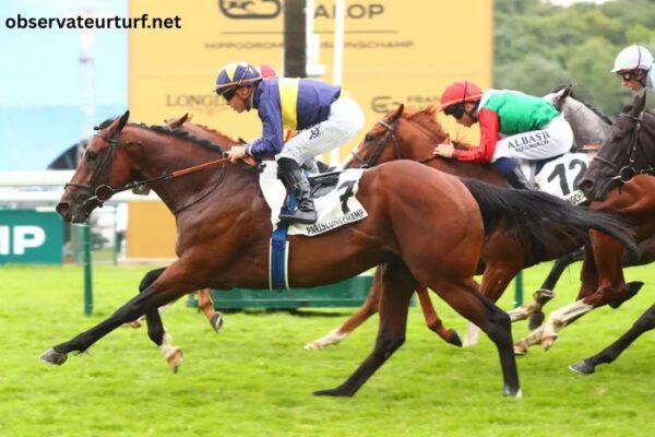 Somboturf Gagnant 1