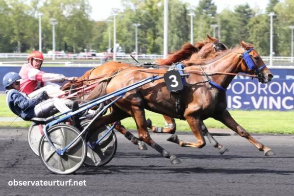 jolie turf gagnant