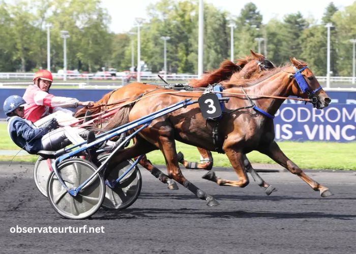 jolie turf gagnant