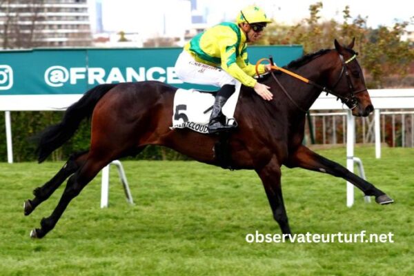 Les Cracks Du Turf (1)