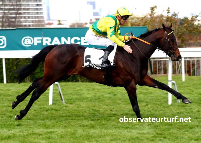 Les Cracks Du Turf (1)