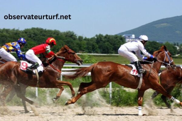 Les Leaders Turf (3)