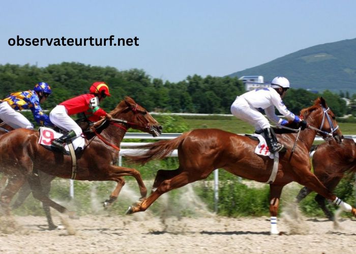 Les Leaders Turf (3)