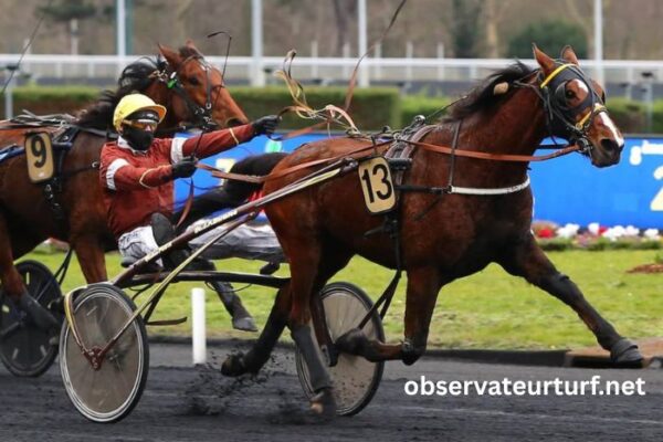 Nivard Guyon Turf