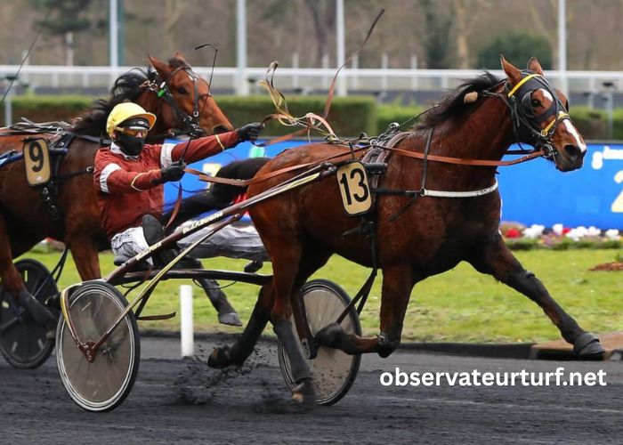 Nivard Guyon Turf