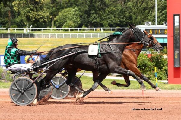 Le Blog DE Wolni