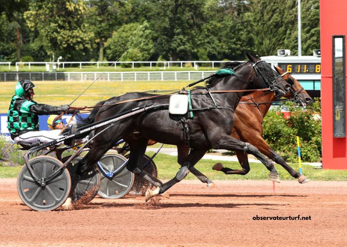 Le Blog DE Wolni