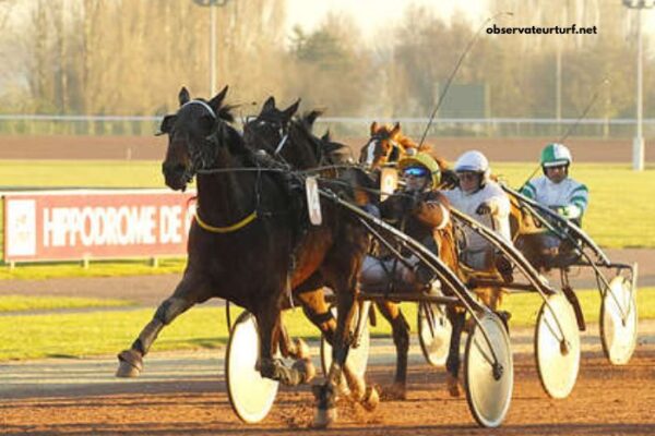 Pronostic Gratuit Turf