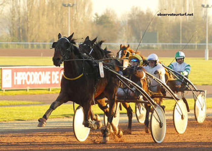 Pronostic Gratuit Turf